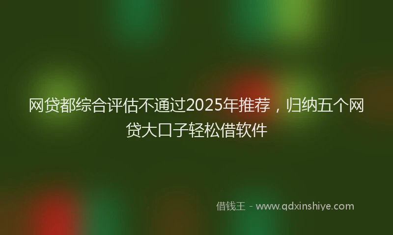 网贷都综合评估不通过2025年推荐，归纳五个网贷大口子轻松借软件