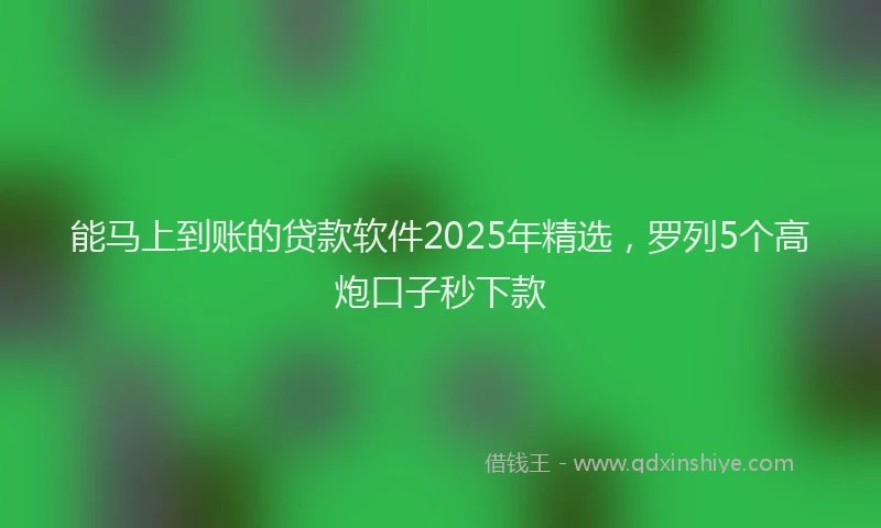 能马上到账的贷款软件2025年精选，罗列5个高炮口子秒下款