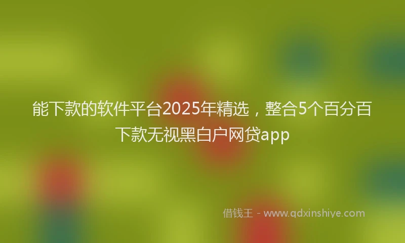能下款的软件平台2025年精选，整合5个百分百下款无视黑白户网贷app