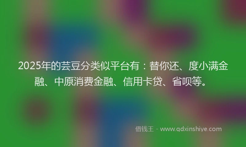 2025年的芸豆分类似平台有：替你还、度小满金融、中原消费金融、信用卡贷、省呗等。