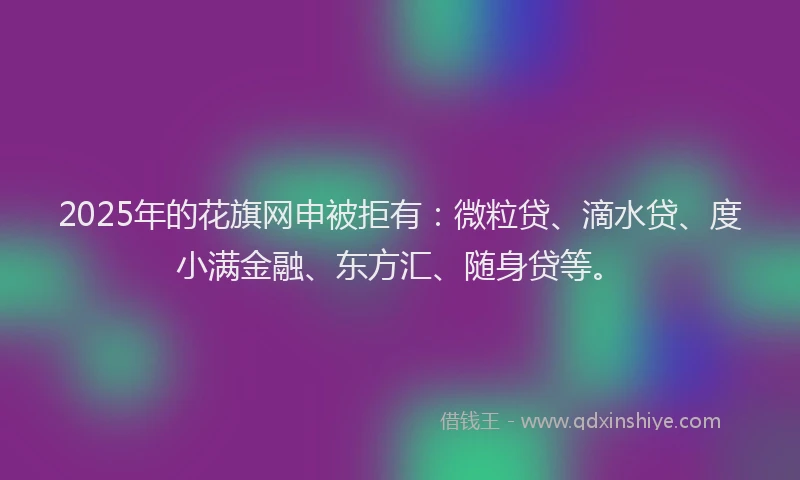 2025年的花旗网申被拒有：微粒贷、滴水贷、度小满金融、东方汇、随身贷等。