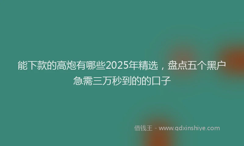 能下款的高炮有哪些2025年精选，盘点五个黑户急需三万秒到的的口子