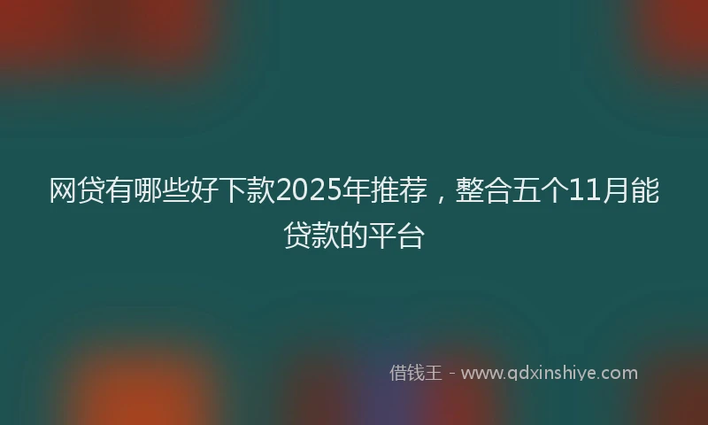 网贷有哪些好下款2025年推荐，整合五个11月能贷款的平台