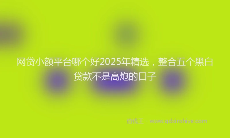 网贷小额平台哪个好2025年精选，整合五个黑白贷款不是高炮的口子