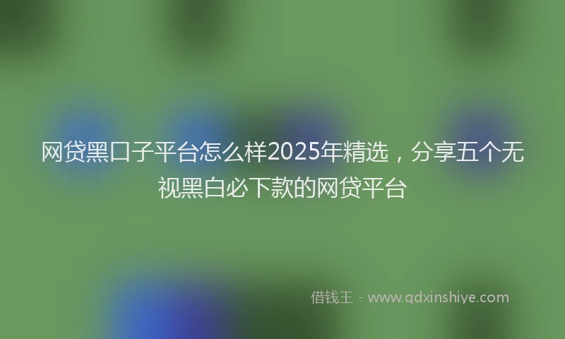 网贷黑口子平台怎么样2025年精选，分享五个无视黑白必下款的网贷平台