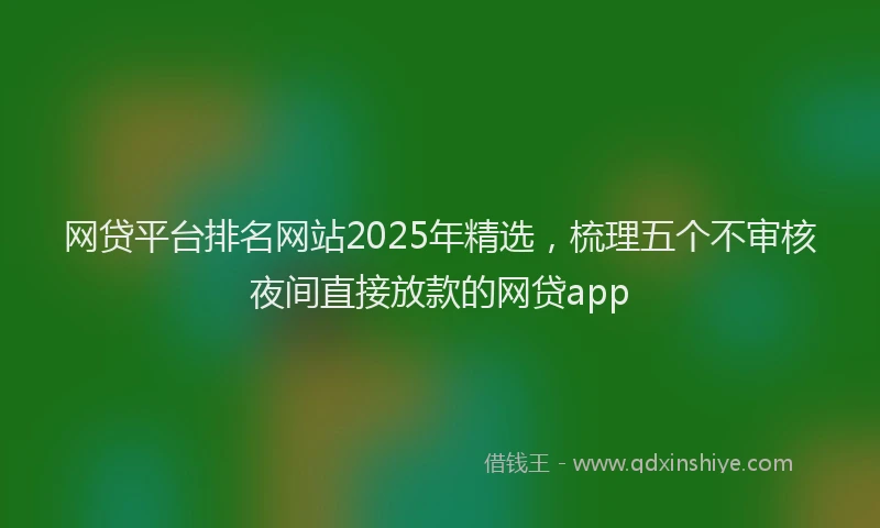网贷平台排名网站2025年精选，梳理五个不审核夜间直接放款的网贷app