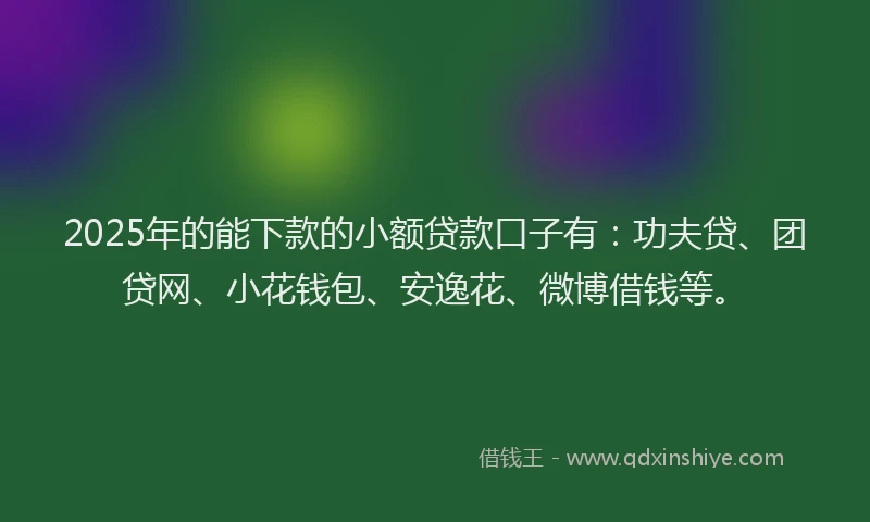 2025年的能下款的小额贷款口子有：功夫贷、团贷网、小花钱包、安逸花、微博借钱等。