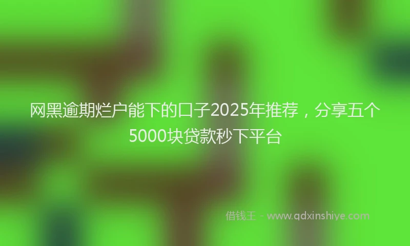 网黑逾期烂户能下的口子2025年推荐，分享五个5000块贷款秒下平台