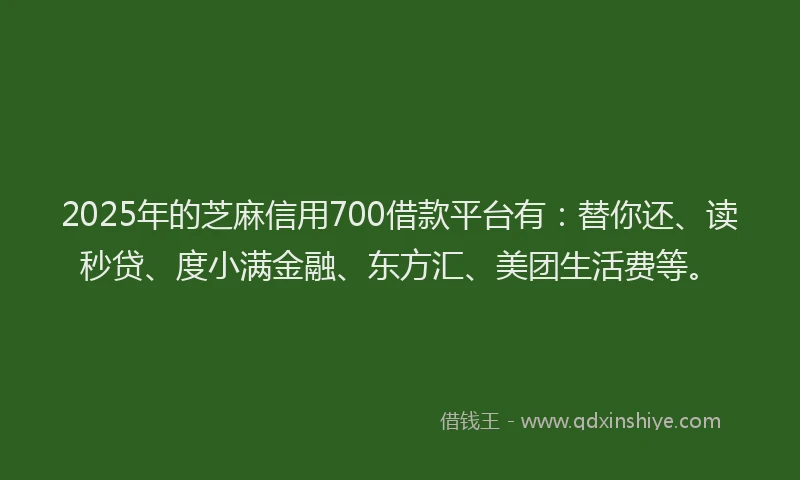 2025年的芝麻信用700借款平台有：替你还、读秒贷、度小满金融、东方汇、美团生活费等。
