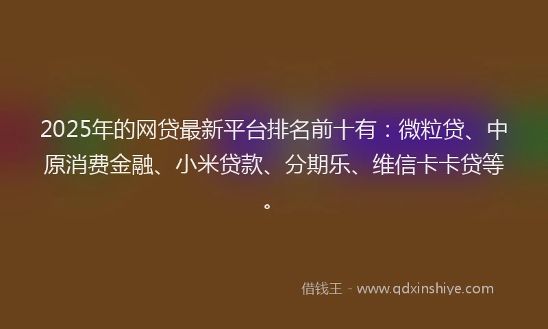 2025年的网贷最新平台排名前十有：微粒贷、中原消费金融、小米贷款、分期乐、维信卡卡贷等。