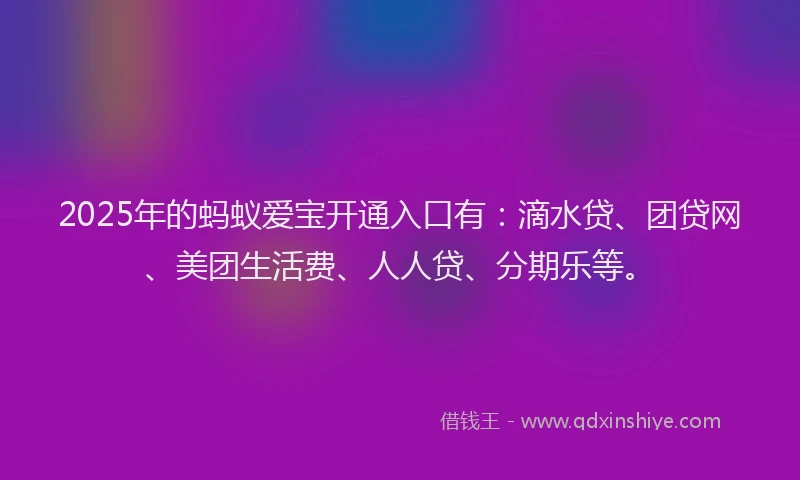 2025年的蚂蚁爱宝开通入口有：滴水贷、团贷网、美团生活费、人人贷、分期乐等。