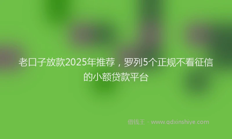 老口子放款2025年推荐，罗列5个正规不看征信的小额贷款平台