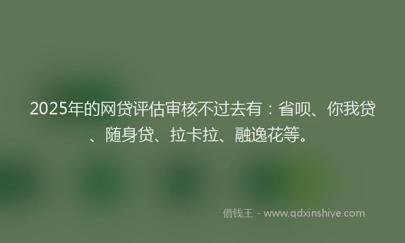2025年的网贷评估审核不过去有：省呗、你我贷、随身贷、拉卡拉、融逸花等。