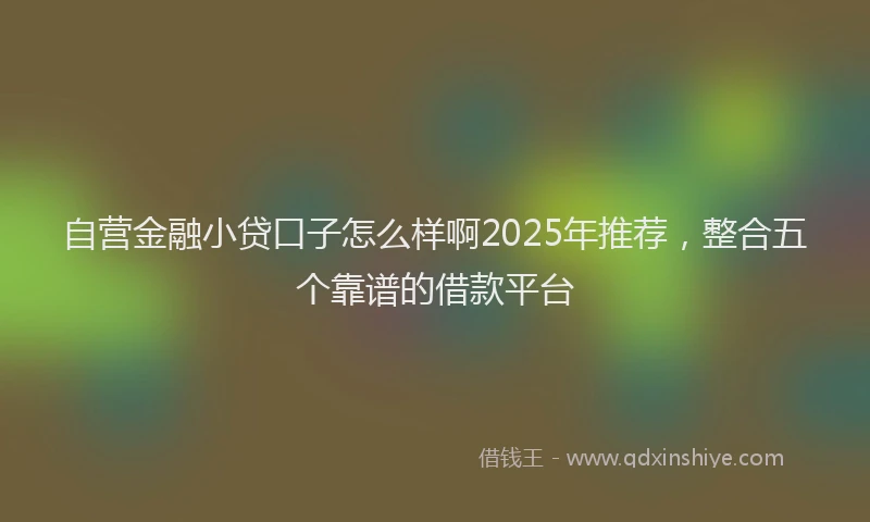 自营金融小贷口子怎么样啊2025年推荐，整合五个靠谱的借款平台