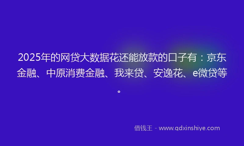 2025年的网贷大数据花还能放款的口子有：京东金融、中原消费金融、我来贷、安逸花、e微贷等。