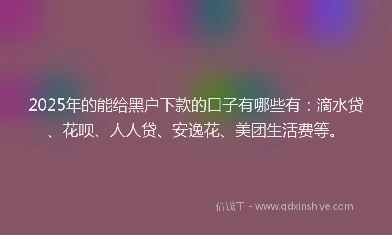 2025年的能给黑户下款的口子有哪些有：滴水贷、花呗、人人贷、安逸花、美团生活费等。
