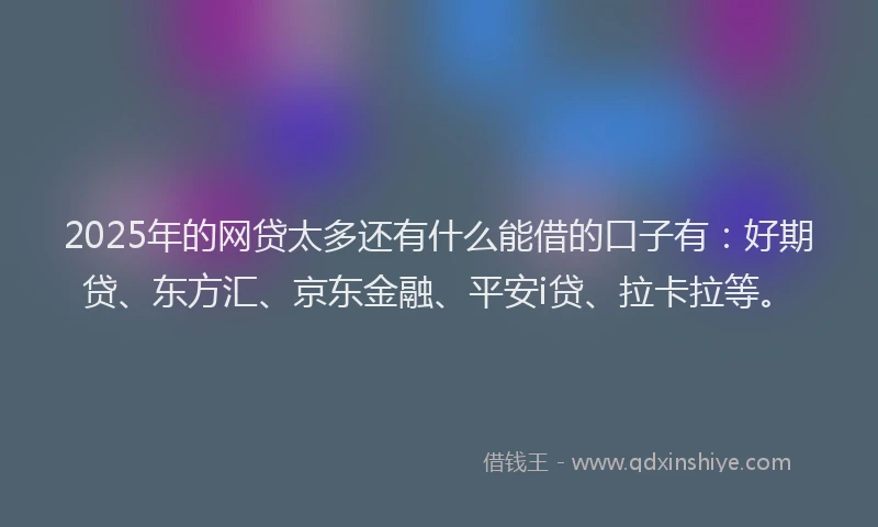 2025年的网贷太多还有什么能借的口子有：好期贷、东方汇、京东金融、平安i贷、拉卡拉等。