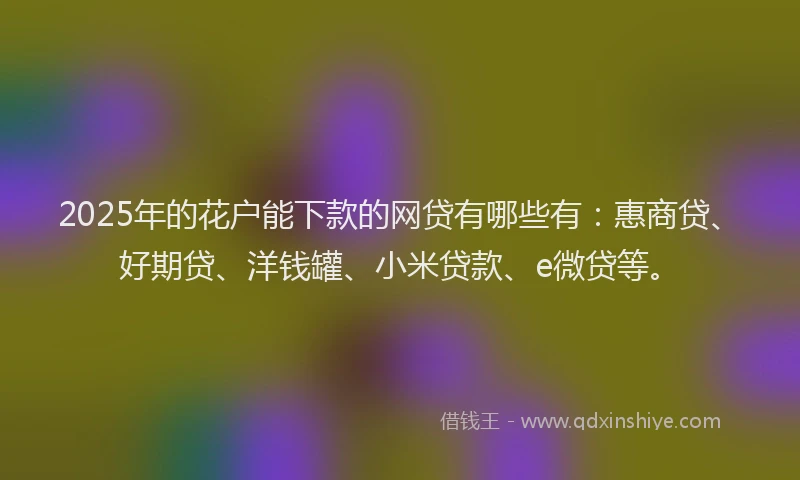 2025年的花户能下款的网贷有哪些有：惠商贷、好期贷、洋钱罐、小米贷款、e微贷等。
