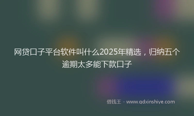 网贷口子平台软件叫什么2025年精选，归纳五个逾期太多能下款口子