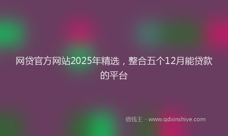 网贷官方网站2025年精选，整合五个12月能贷款的平台