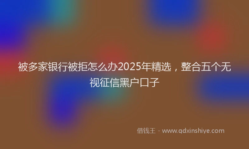 被多家银行被拒怎么办2025年精选，整合五个无视征信黑户口子