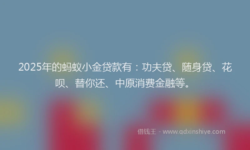 2025年的蚂蚁小金贷款有：功夫贷、随身贷、花呗、替你还、中原消费金融等。