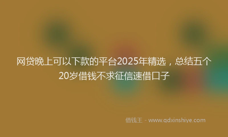 网贷晚上可以下款的平台2025年精选，总结五个20岁借钱不求征信速借口子