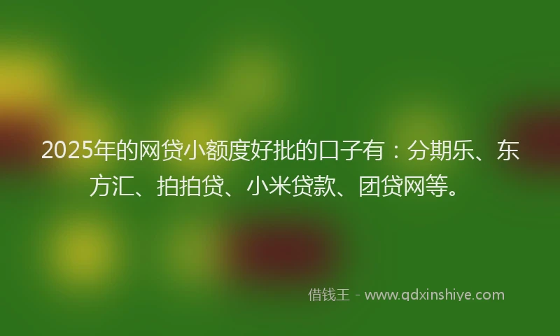 2025年的网贷小额度好批的口子有：分期乐、东方汇、拍拍贷、小米贷款、团贷网等。