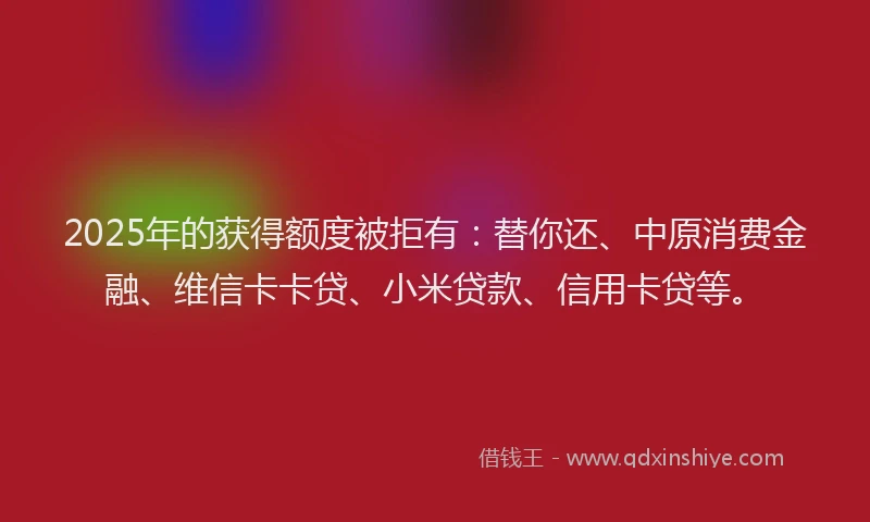 2025年的获得额度被拒有：替你还、中原消费金融、维信卡卡贷、小米贷款、信用卡贷等。
