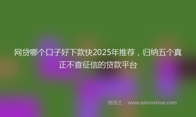 网贷哪个口子好下款快2025年推荐，归纳五个真正不查征信的贷款平台