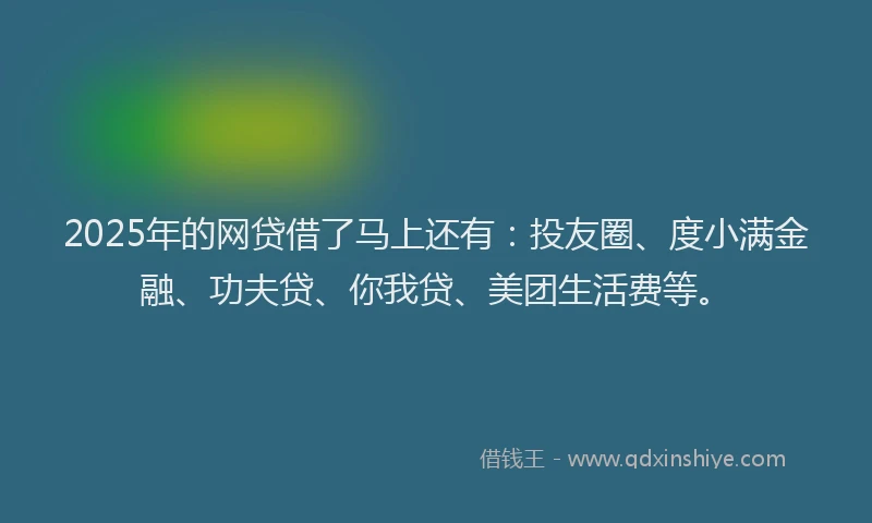2025年的网贷借了马上还有：投友圈、度小满金融、功夫贷、你我贷、美团生活费等。