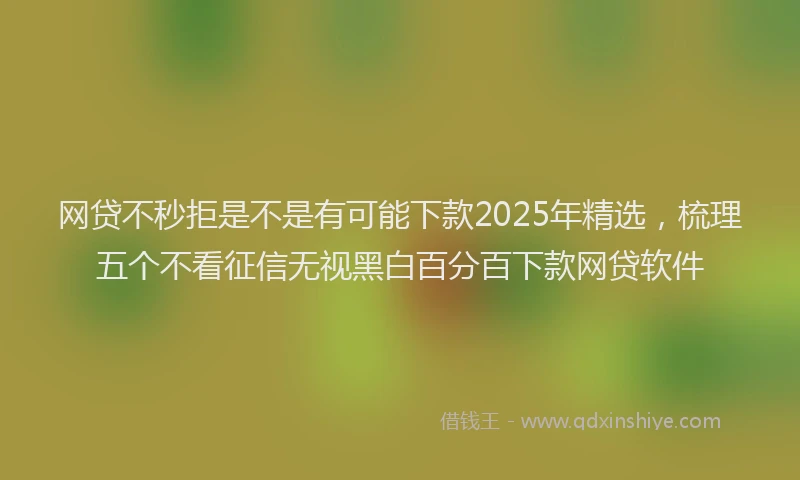 网贷不秒拒是不是有可能下款2025年精选，梳理五个不看征信无视黑白百分百下款网贷软件