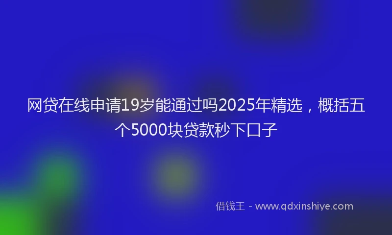 网贷在线申请19岁能通过吗2025年精选，概括五个5000块贷款秒下口子
