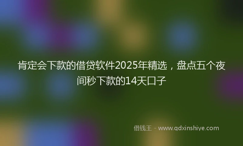 肯定会下款的借贷软件2025年精选，盘点五个夜间秒下款的14天口子
