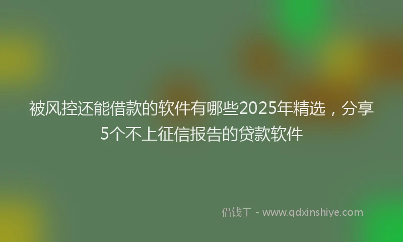被风控还能借款的软件有哪些2025年精选，分享5个不上征信报告的贷款软件