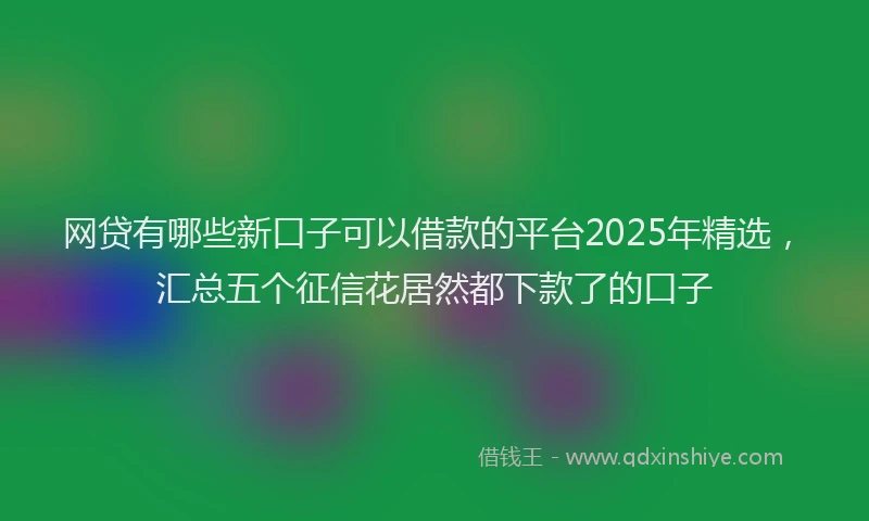 网贷有哪些新口子可以借款的平台2025年精选，汇总五个征信花居然都下款了的口子