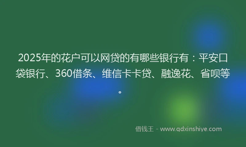 2025年的花户可以网贷的有哪些银行有：平安口袋银行、360借条、维信卡卡贷、融逸花、省呗等。