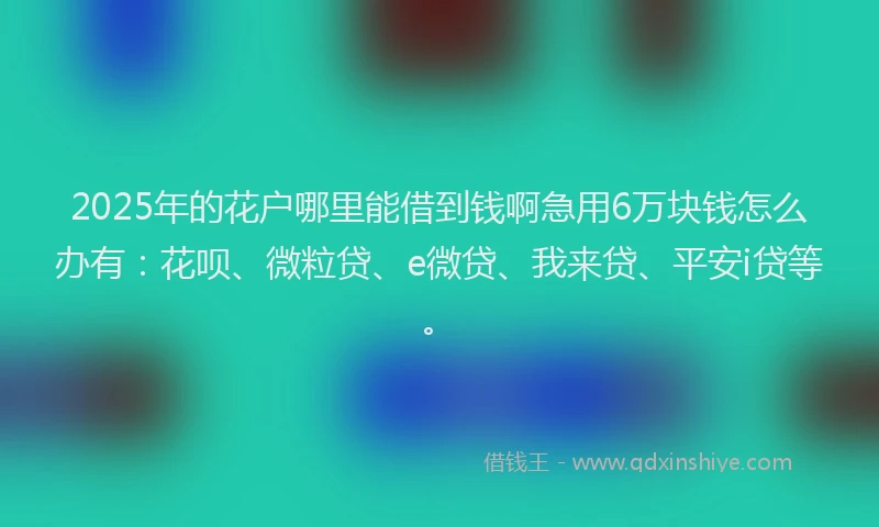 2025年的花户哪里能借到钱啊急用6万块钱怎么办有：花呗、微粒贷、e微贷、我来贷、平安i贷等。