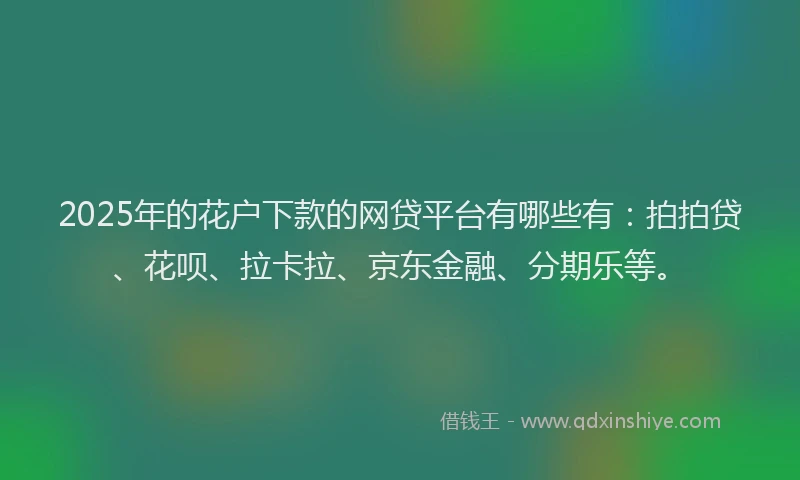 2025年的花户下款的网贷平台有哪些有：拍拍贷、花呗、拉卡拉、京东金融、分期乐等。