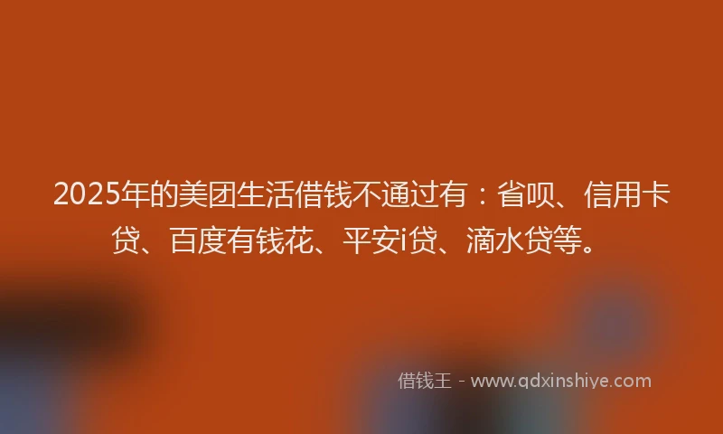 2025年的美团生活借钱不通过有：省呗、信用卡贷、百度有钱花、平安i贷、滴水贷等。