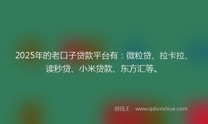 2025年的老口子贷款平台有：微粒贷、拉卡拉、读秒贷、小米贷款、东方汇等。