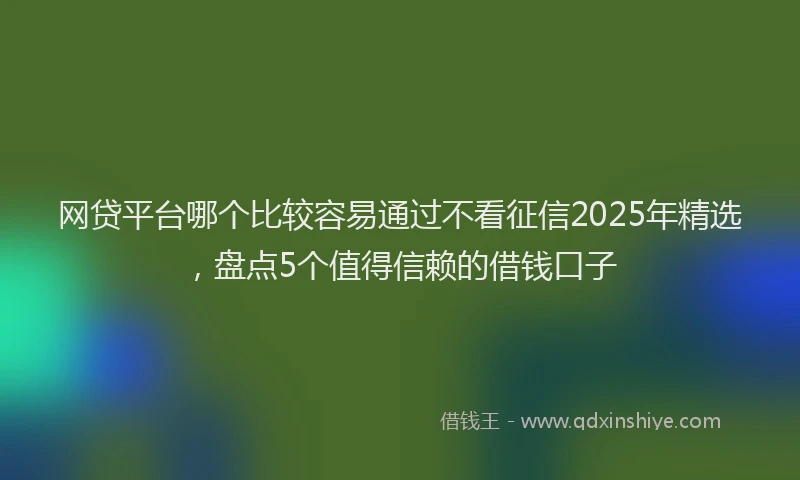 网贷平台哪个比较容易通过不看征信2025年精选，盘点5个值得信赖的借钱口子
