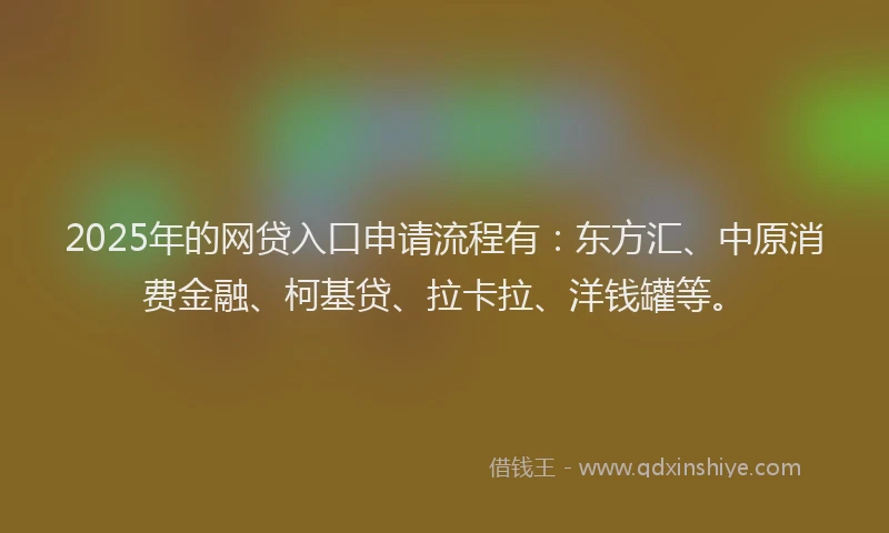2025年的网贷入口申请流程有：东方汇、中原消费金融、柯基贷、拉卡拉、洋钱罐等。
