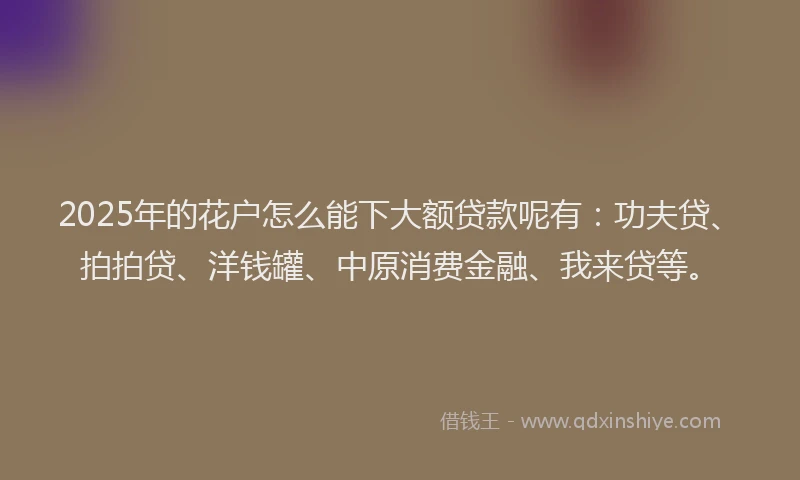 2025年的花户怎么能下大额贷款呢有：功夫贷、拍拍贷、洋钱罐、中原消费金融、我来贷等。
