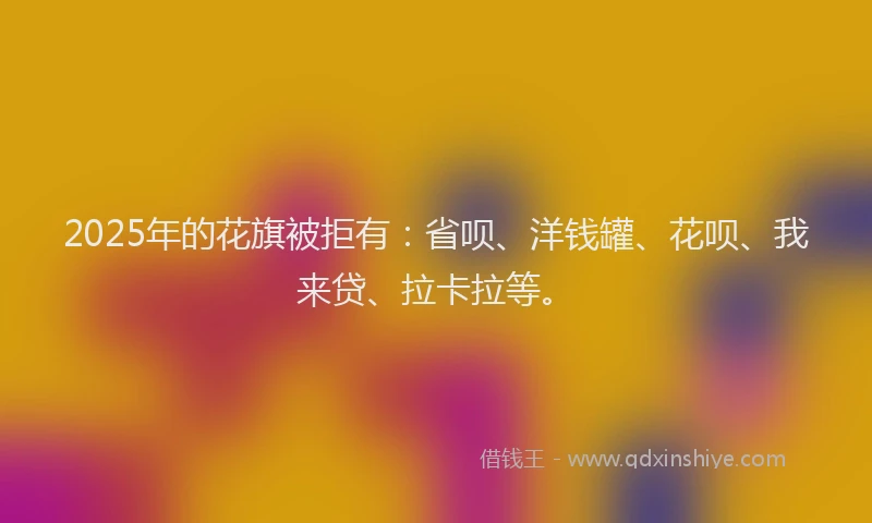 2025年的花旗被拒有：省呗、洋钱罐、花呗、我来贷、拉卡拉等。