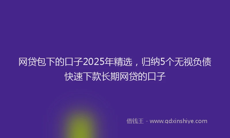 网贷包下的口子2025年精选，归纳5个无视负债快速下款长期网贷的口子