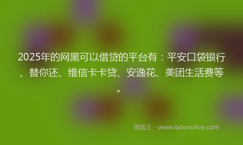 2025年的网黑可以借贷的平台有：平安口袋银行、替你还、维信卡卡贷、安逸花、美团生活费等。