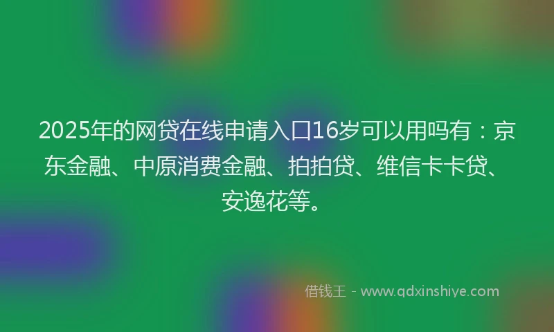 2025年的网贷在线申请入口16岁可以用吗有：京东金融、中原消费金融、拍拍贷、维信卡卡贷、安逸花等。