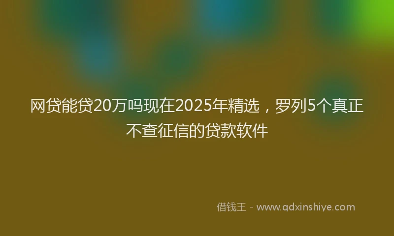 网贷能贷20万吗现在2025年精选，罗列5个真正不查征信的贷款软件