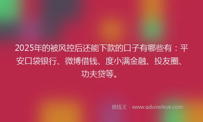2025年的被风控后还能下款的口子有哪些有：平安口袋银行、微博借钱、度小满金融、投友圈、功夫贷等。